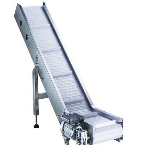 Fruit conveyor