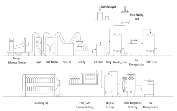 Protein Production Flow Chart