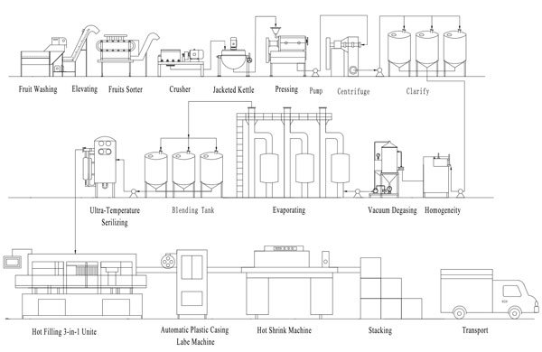 Pineapple Juice Processing Flow Chart