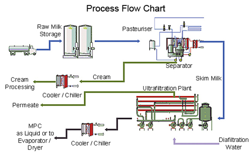 Pineapple Juice Processing Flow Chart