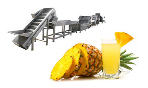 pineapple juice processing plant