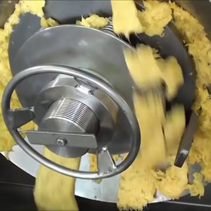 Pineapple pulping machine