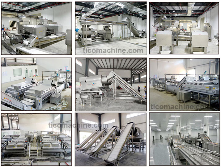 AGICO Grape Fruit Juice Production Line