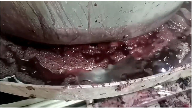 AGICO Grapes Wine Crushing Machine