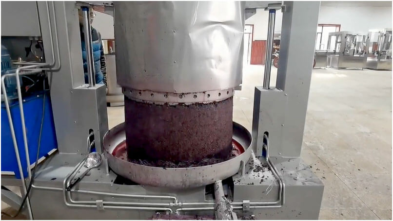 AGICO Grapes Wine Crushing Machine