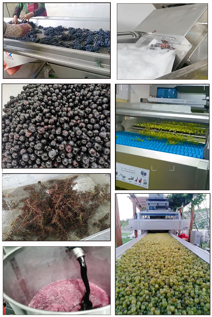 Advantages of the AGICO Grape Fruit Juice Production Line