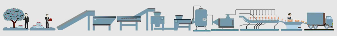 Apple Juice Production Process