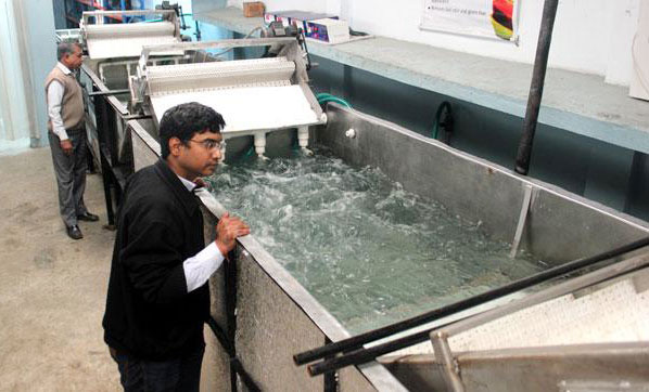 Indian Customers Order for Fruit Bubble Washing Machine