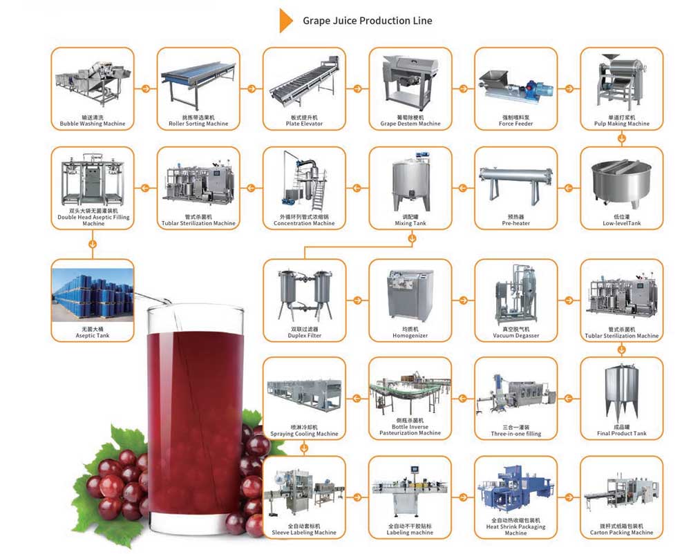 Process Flow of Grape Fruit Juicer Machine