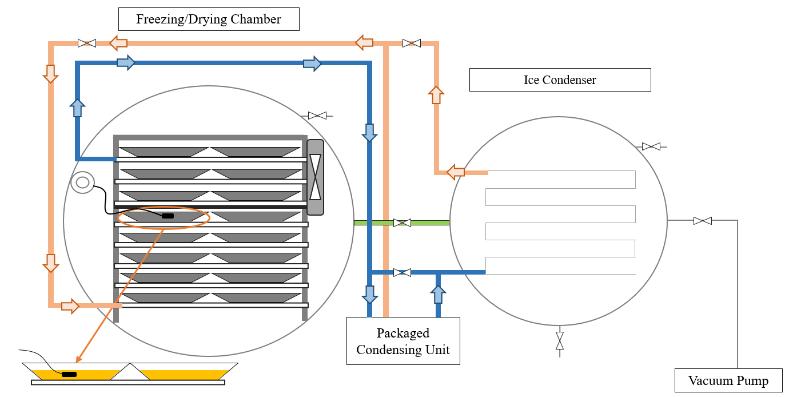 Structure of freeze dryer