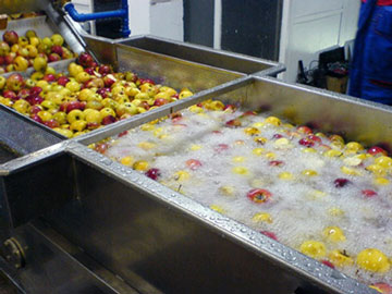 Apple Fruit Bubble Washing Machine