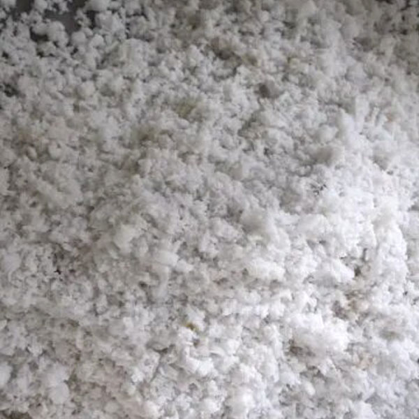 coconut meat grinding powder