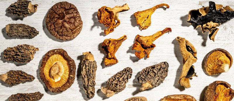 dried mushroom