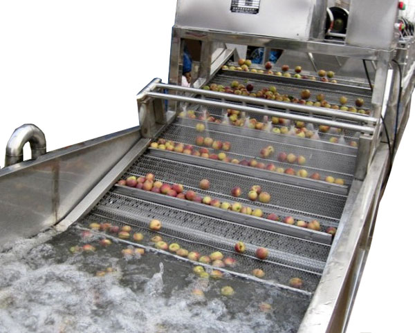 industrial conveyor belt fruit washer