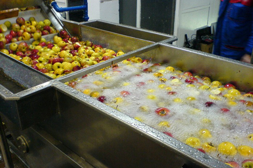 Fruit washer machine plays a vital role in fruit processing line
