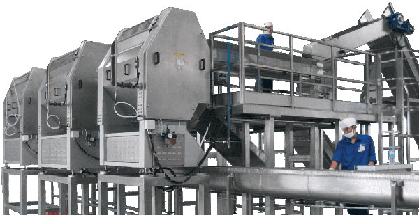 examing fruit processing machine