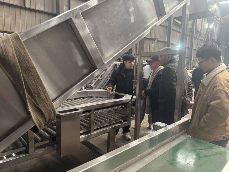 AGICO Partners with Chilean Client for Custom Grape and Mango Fruit Processing Lines in Peru