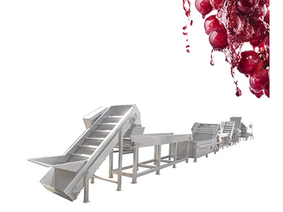 Grape Fruit Juice Processing Line