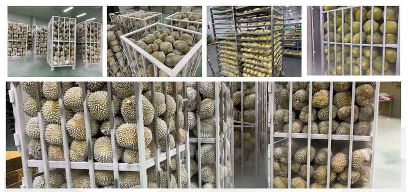 Liquid Nitrogen Freezer Products