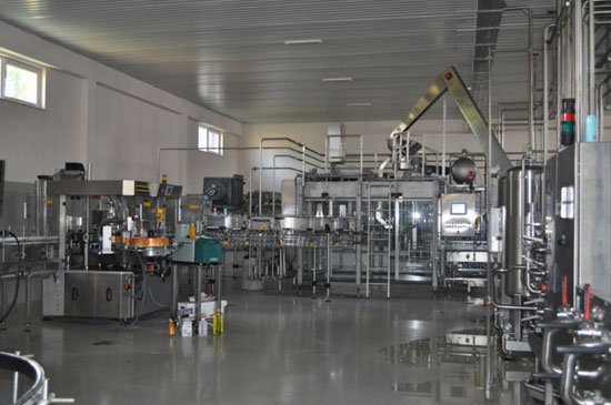 machineries of fruit juice processing line