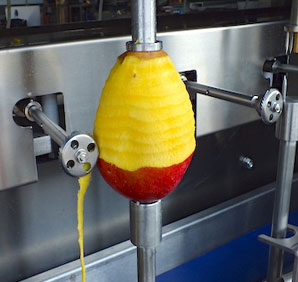 mango peeling machine and destoner