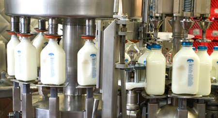 milk pasteurization machine