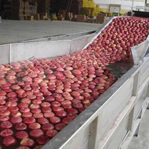 Fruit bubble washing machine