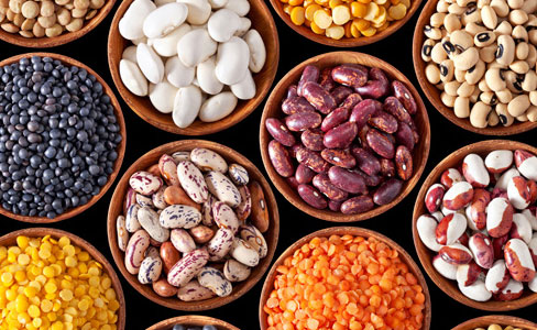 Production of plant protein