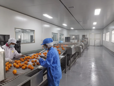 citrus juice production line