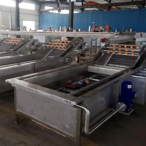 fruit bubble washing machine in factory