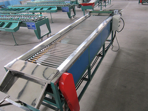 fruit sorting machine in factory