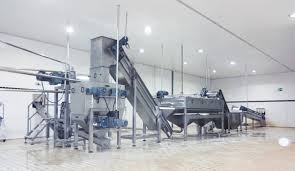 fruit juice industry