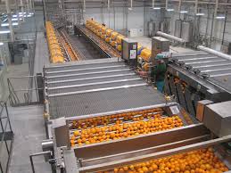 fruit juice industry