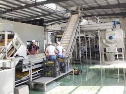 fruit juice production line